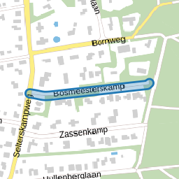 Bosmeesterskamp