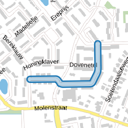 Boterbloem