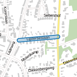 Lijsterbeslaan