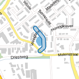 Pinksterbloem