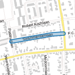 Swammerdamlaan