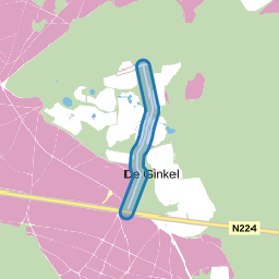 Groot Ginkelseweg