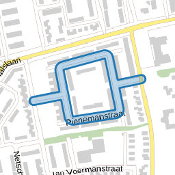 Pienemanstraat