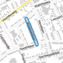 Wielewaallaan