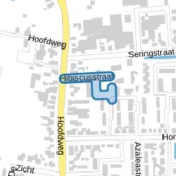 Hibiscusstraat