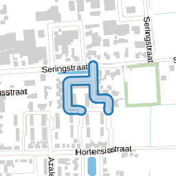 Spiraeastraat