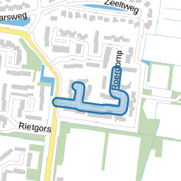 Roerdomp