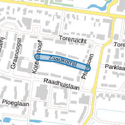 Zaadkorrel