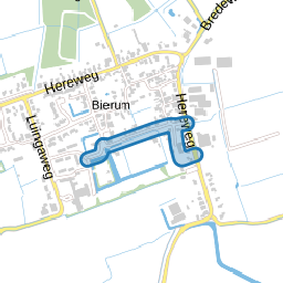 Borgsingel