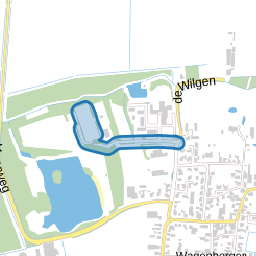 de Elzen