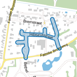 Hibiscusstraat