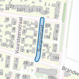 Burijnstraat