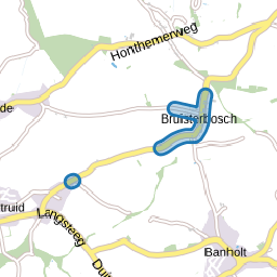 Bruisterbosch