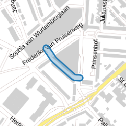 Anna Paulownastraat