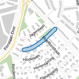 Antilopenlaan