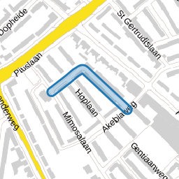 Bosranklaan