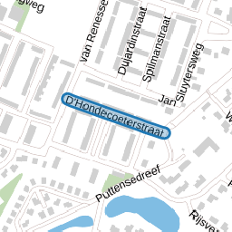 D'Hondecoeterstraat