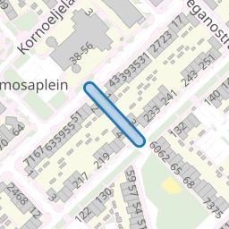 Dragonstraat