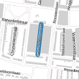 Goudsbloemstraat