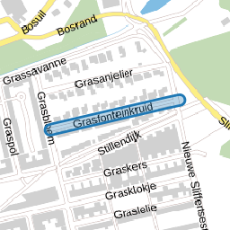 Grasfonteinkruid