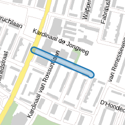 Henricus Herpstraat