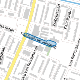 Kardinaal de Jongweg