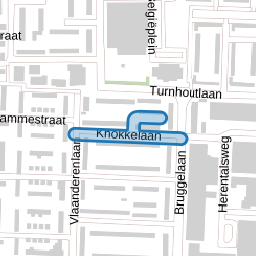 Knokkelaan