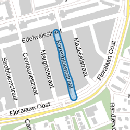 Korenbloemstraat
