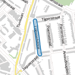 Luipaardstraat