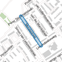 Merulastraat
