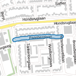 Paasberglaan