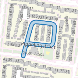 Pippelingstraat