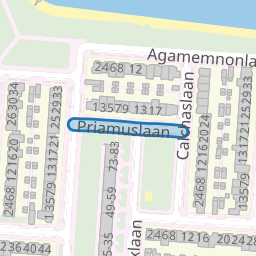 Priamuslaan