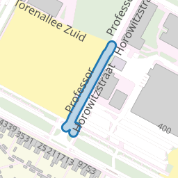 Professor Horowitzstraat