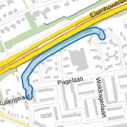 Reuzenvlinderpad