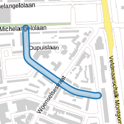 Rodinstraat