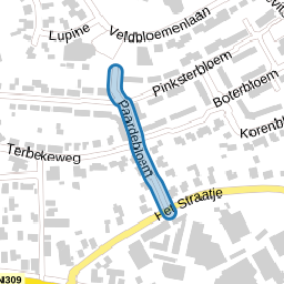 Paardebloem