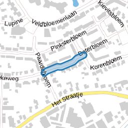 Zwanebloem