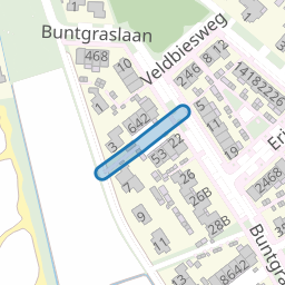 Nachtzwaluw