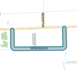 Moerasrus
