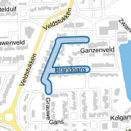 Brandgans