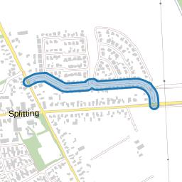 Dagpauwoog