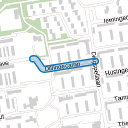 Dillingecamp
