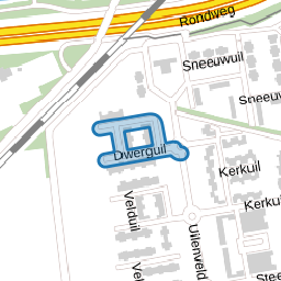 Dwerguil