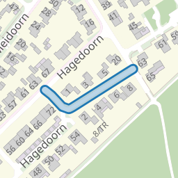 Gaspeldoorn
