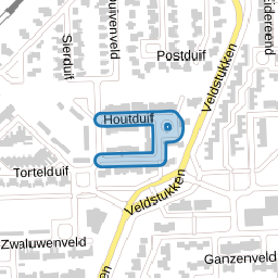 Houtduif