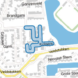 Kolgans