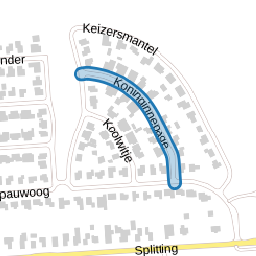 Koninginnepage
