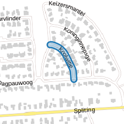 Koolwitje