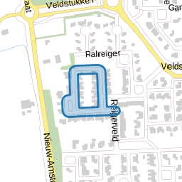 Purperreiger